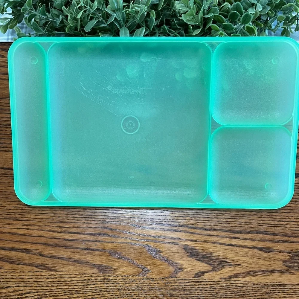 Tupperware Classic Divided Picnic Camping‎ Trays Set of 4 Multicolor #1535